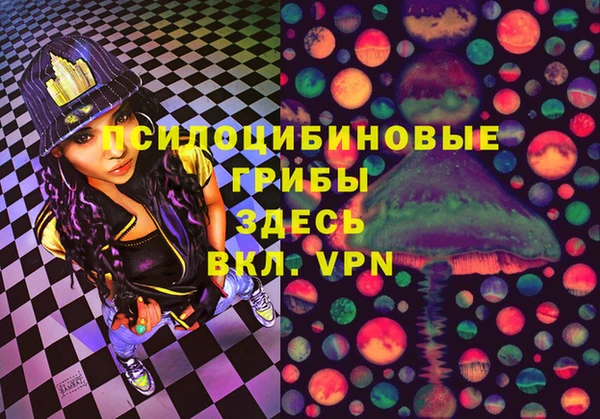 a pvp Белокуриха