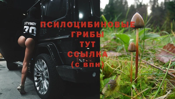 a pvp Белокуриха