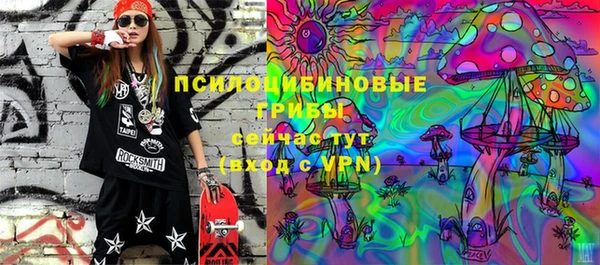 a pvp Белокуриха