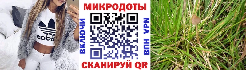 купить сайты нарко площадка телеграм МЕГА ТОР Галлюциногенные грибы GOLDEN TEACHER Пенза